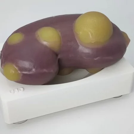 WhatsAppImage2023-11-06at12.31.14