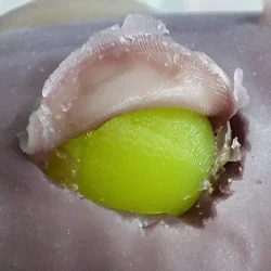 WhatsAppImage2024-01-19at10.11.18