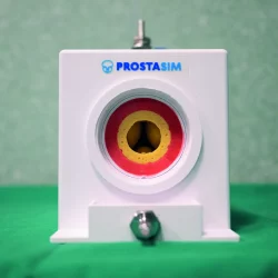 prostasim-2